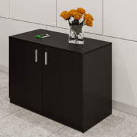 New 2 Door Storage Cabinet