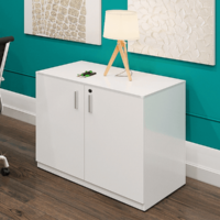 New 2 Door Storage Cabinet - Image 5